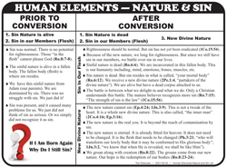 Human Element Nature and Sin