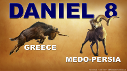 Ram & Goat Vision (Da.8)