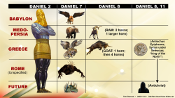 Daniel 2,7,8,11