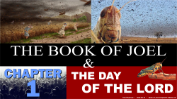 Joel Chapter 1
