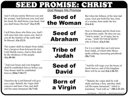 Seed Promise Christ