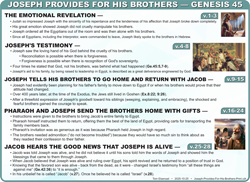 Joseph Provides (Ge.45)