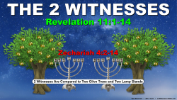 Two Witnesses