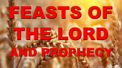 Feasts of the Lord and Prophecy